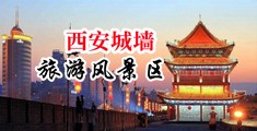 美女的小穴被鸡巴操逼视频中国陕西-西安城墙旅游风景区